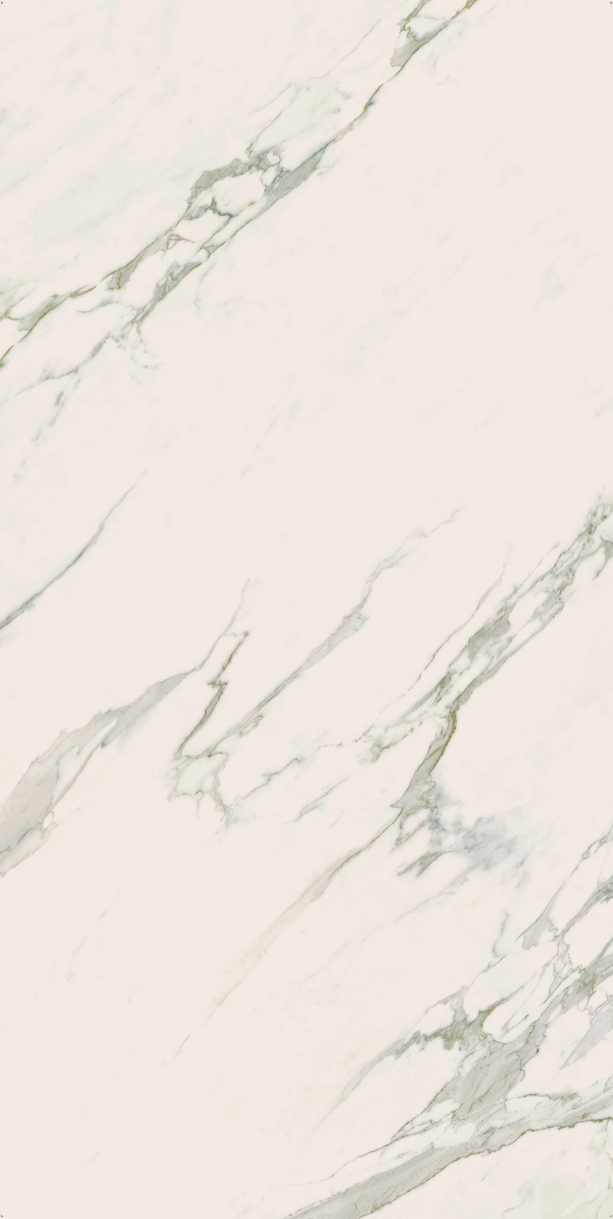 Ava ceramica Marmi Calacatta SlabA 240X120 cm